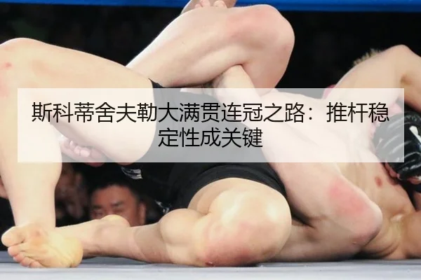 si-ke-di-she-fu-lei-da-man-guan-lian-guan-zhi-lu-tui-gan-wen-ding-xing-cheng-guan-jian-3-685.jpg