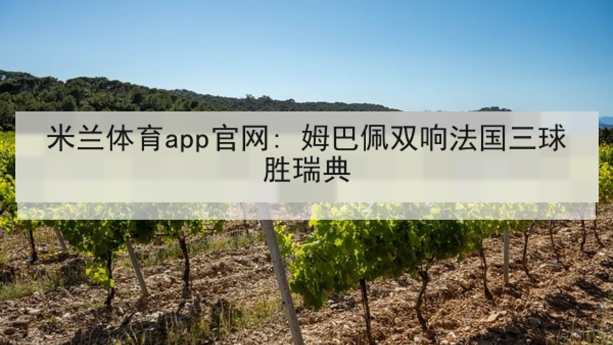 米兰体育app官网: 姆巴佩双响法国三球胜瑞典