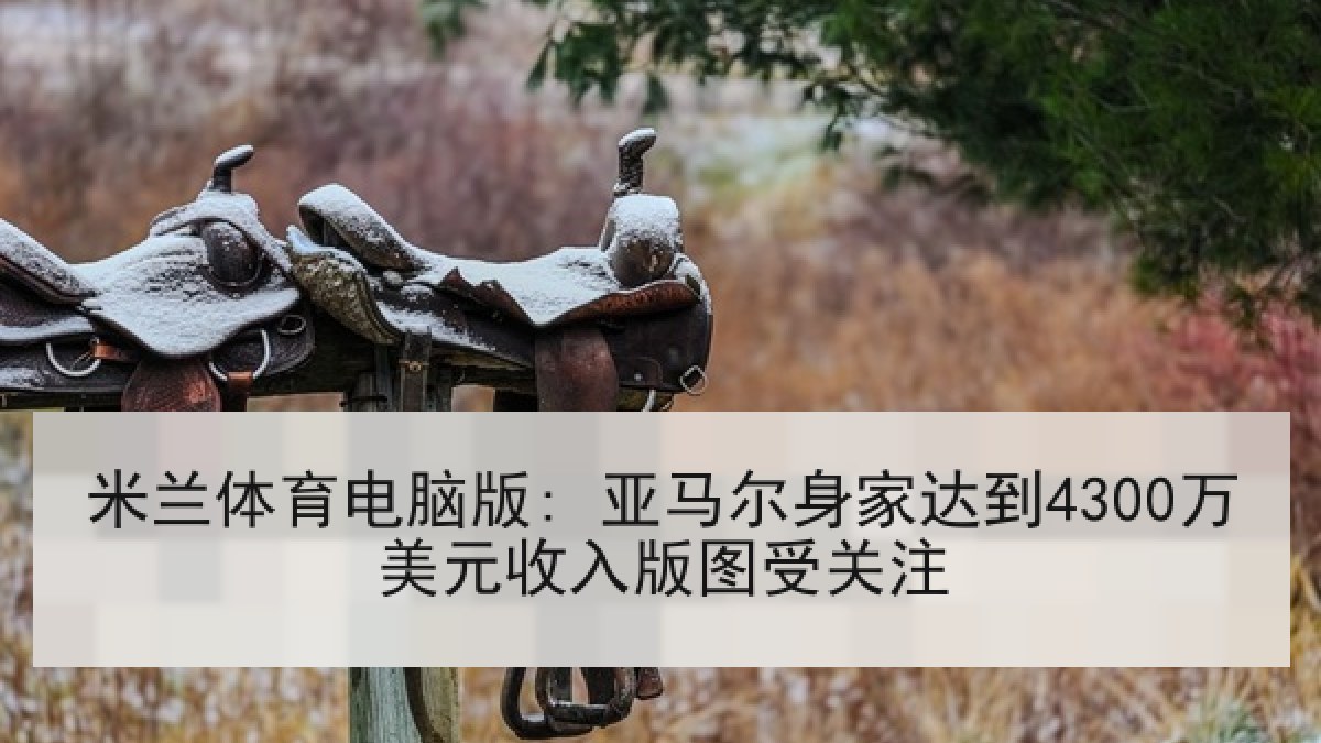 米兰体育电脑版: 亚马尔身家达到4300万美元收入版图受关注