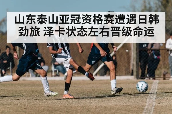 山东泰山亚冠资格赛遭遇日韩劲旅 泽卡状态左右晋级命运
