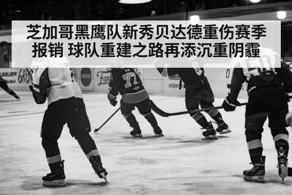 芝加哥黑鹰队新秀贝达德重伤赛季报销 球队重建之路再添沉重阴霾